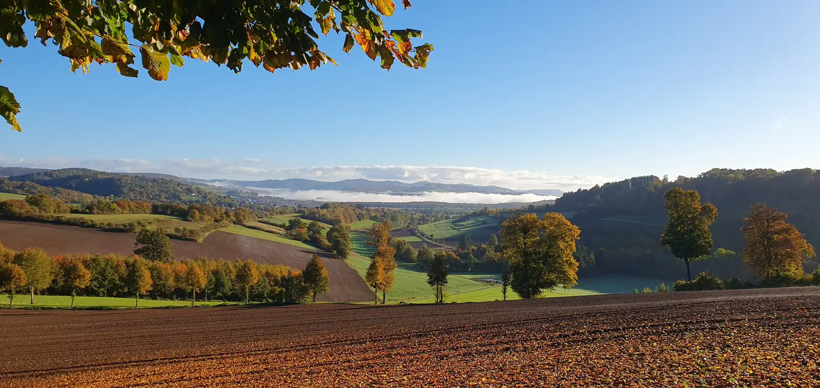 Herbstliche Hügellandschaft bei Sonnenberg